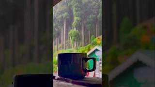 Beautiful Darjeeling ❤️darjeeling travel nature shorts trending [upl. by Ednyl]