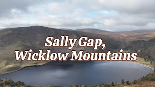 Title Majestic Drone Views of Sally Gap County Wicklow Ireland [upl. by Nahshu]