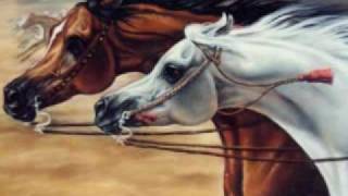 The Beauty of the Arabian Horse [upl. by Htederem520]