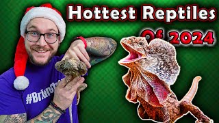 Top 5 Newly Popular Reptiles That Will BLOW UP in 2024 [upl. by Atteval]