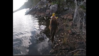 kayak land based and night fishing in Merimbula back lake for eels and flathead successful [upl. by Axe190]