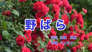 野ばら｜ウェルナー｜日本語歌詞｜ドイツ歌曲｜童はみたり 野なかの薔薇 [upl. by Sayre]