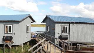 Views From Alaskas Naknek River Camp [upl. by Nonna103]