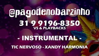 TIC NERVOSO  XANDY HARMONIA PLAYBACK PAGODE INSTRUMENTAL [upl. by Anrehs]