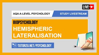 AQA ALevel Psychology  Study Livestream  Biopsychology  Hemispheric Lateralisation [upl. by Melessa]