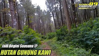 Suasana Asli Hutan Gunung Kawi Malang [upl. by Jary]