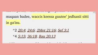 149 Macaafa Hisqieel Raajichaa boqonnaa 21 hanga 25 [upl. by Sugna859]