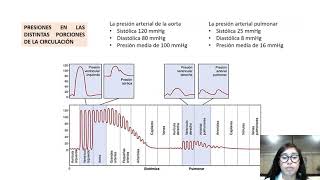 Visión general de la circulación biofísica de la presión el flujo y la resistencia PARTE 1 [upl. by Htiduy207]