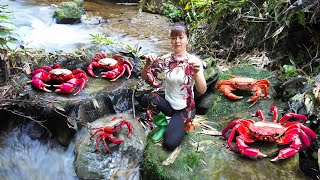 Catch Crab amp Cooking Bad Guy Broke Into The Farm To Steal Chicken  New Free Bushcraft [upl. by Nauqyt714]