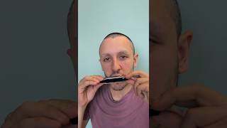 Diatonic Harmonica Sound Demo [upl. by Trudnak]