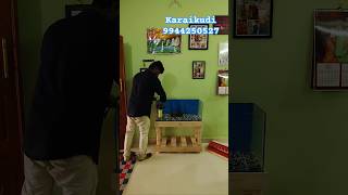 Fish Tank Setup  Karaikudi fishtank fish aquarium [upl. by Carper]