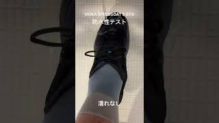 HOKA SPEEDGOAT 5 GTX 防水テスト [upl. by Dahlstrom]