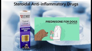 9 Steroidal Anti inflammatory Drugs [upl. by Yesoj829]