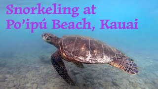 Snorkeling at Poipu Beach Park Kauai [upl. by Eralcyram838]