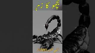 Bichoo Ka zehrAik qatra 500 dollar [upl. by Harty]