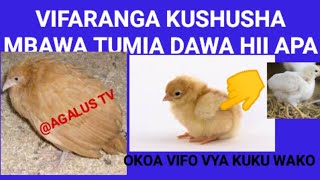 TIBADAWA YA UGONJWA WA VIFARANGA KUSHUSHA MBAWA [upl. by Luckett]