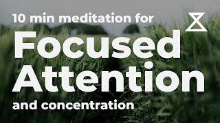 10 Minute Guided Meditation for Focused Attention and Concentration No Music Voice Only [upl. by Breger883]