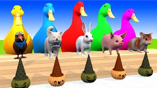 5 Giant Duck Cartoon Fountain Crossing With Cow Elephant Buffalo Lion TRex 3d Animal Game Video [upl. by Hebrew809]