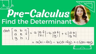 Determinant of a 3x3 matrix [upl. by Lyrahc972]