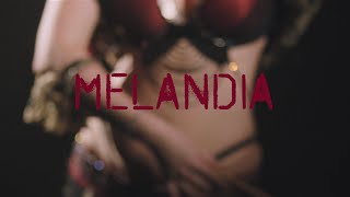 New York Gypsy All Stars  Melandia Official Music Video [upl. by Rebmaed986]