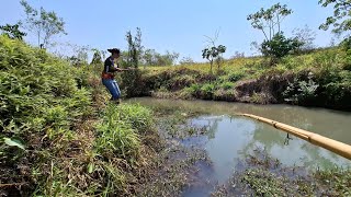 INCRÍVEL SÓ TRAÍRAS GIGANTE TA MALUCO ELA TA BRUTA NA PESCA [upl. by Rosenfeld]