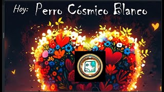 Perro Cósmico Blanco  14 de noviembre 2024  LegadoMaya [upl. by Asilrak]