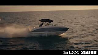 Sea Ray SDX 250 OB [upl. by Odawa]