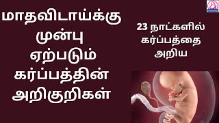 Early pregnancy symptoms before missed periods in Tamil  pregnancy symptoms in Tamil l MalligaTamil [upl. by Cleopatra]