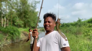 Hook and rod fishing in nepal fishhookfishing fishingandcooking [upl. by Ianaj49]