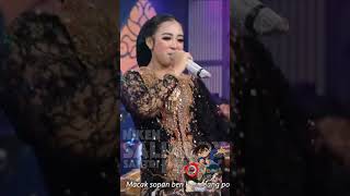 Santri Pekok  Niken Salindry Vocal [upl. by Towbin]