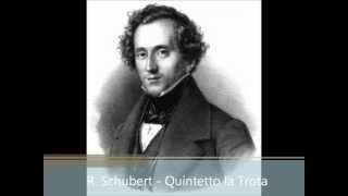 10 F Schubert  Quintetto quotLa Trotaquot [upl. by Nerual130]