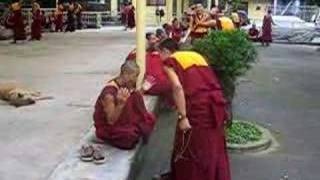 Tibetan Monks Debate in Dharamsala [upl. by Sully]