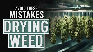 Avoid these 5 Mistakes when Drying Cannabis [upl. by Ayor121]