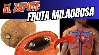 Los Increíbles BENEFICIOS del ZAPOTE MAMEY que te SORPRENDERÁN [upl. by Ahtela846]