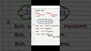 biology prokaryotic cells and Eukaryotic cells difference  similarities  diagram of Both cells [upl. by Mehsah]