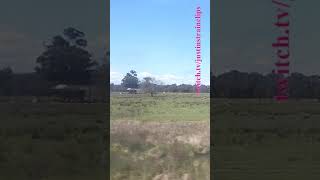 VLINE Albury NSW To Southern Cross 101024 vline shorts shortvideo train travel views [upl. by Suvart]