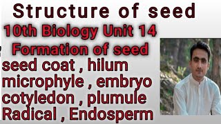 Class 10  Biology  Structure of seed  Chapter 14 [upl. by Cottrell]