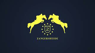 Ansingh de Lis Z  The Zangersheide International 2023  Jump Off [upl. by Aysan]