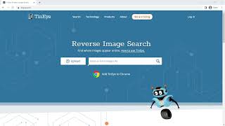 Reverse Image Search Using TinEye [upl. by Reiniar]