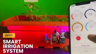 How to Build your own Smart Irrigation System  DIY Project [upl. by Atla289]