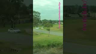 Steamrails ReturnMorwell Rose Festival steam victoria shorts shortvideo train travel views [upl. by Jallier378]