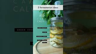 5 fermentation ideas [upl. by Franzoni405]