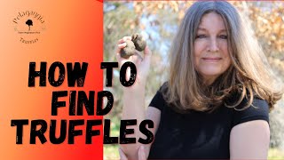 How to find truffles  Tutorial for Beginners [upl. by Ecirtram]