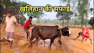 खलिहान का सफाई  khalihan ka safai  kisan life  William vlogs [upl. by Ramat541]