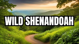 Explore The Breathtaking Beauty Of Shenandoah National Parkfamily vlogife in usa vlog daily vloger [upl. by Zandt173]