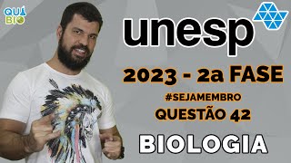 UNESP 2023  2a Fase  Questão 42  Para que uma célula possa produzir suas proteínas ela precisa [upl. by Heath271]