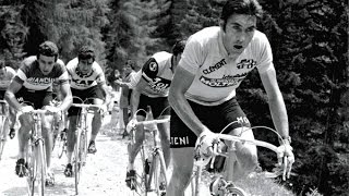 Eddy MERCKX  De Mooiste Momenten [upl. by Armilda]