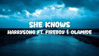 Harrysong  She Knows FT Fireboy amp Olamide Lyrics [upl. by Ailecra]