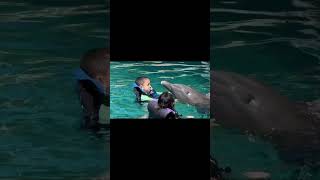 🐬Nadando con Delfín en Blue Lagoon Bahamas 🇧🇸SNSOCIALMEDIA delfines [upl. by Suraved]