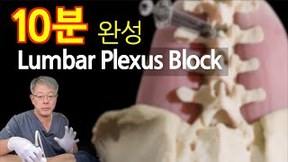 Lumbar plexus block Cluneal nerve blook 친절한 초음파 TechNote 대전마디신경외과 정재현 KAOM 대한근골격계초음파학회 [upl. by Lovato]